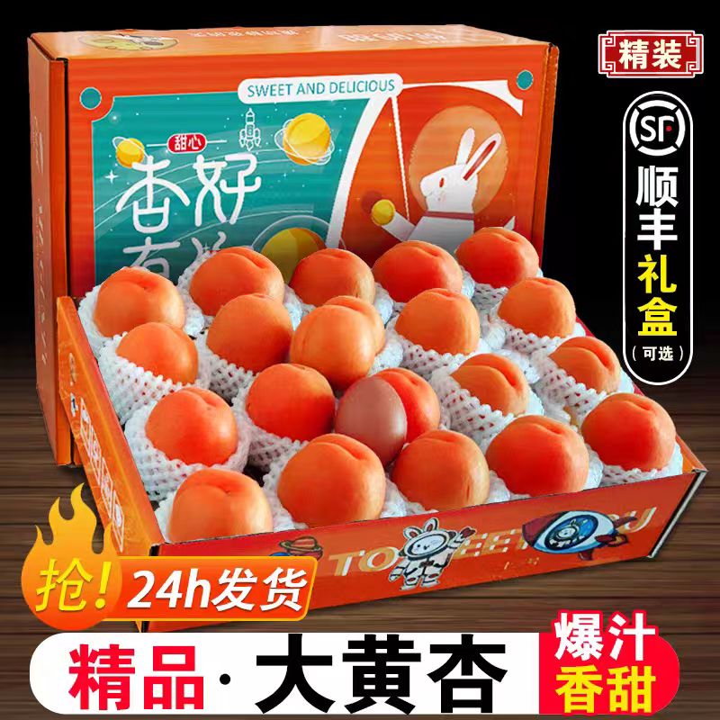 陕西大黄杏当季新鲜水果整箱5斤顺丰礼盒金太阳杏子孕妇酸甜多汁-图0