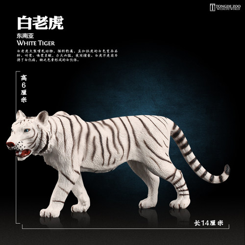 正版仿真动物老虎 模型玩具老虎 东北虎孟加拉虎模型男孩儿童玩具 - 图1