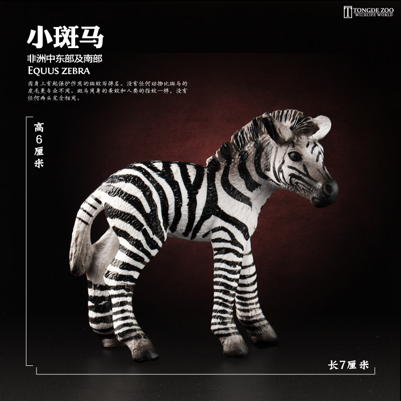 童德 斑马模型仿真动物玩具野生动物模型儿童认知益智礼物 - 图3