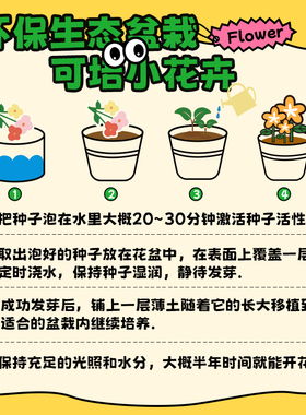 十八纸摇钱树奇趣盆栽