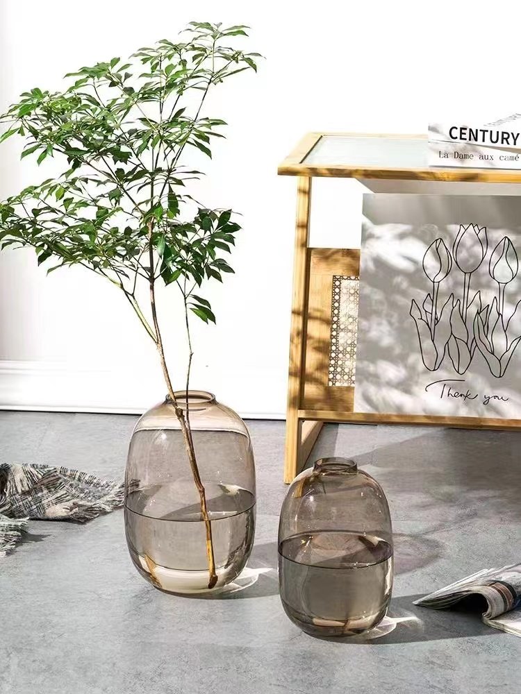 【爆款特惠】日式轻奢极简麻醉木水培绿植花瓶客厅插花可爱大肚瓶,淘宝优惠券,粉丝福利购,淘宝优惠卷