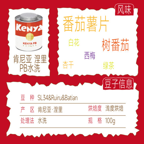 喜豆豆26产季肯尼亚PB水洗浅烘精品手冲咖啡豆SL34新鲜烘焙 - 图0