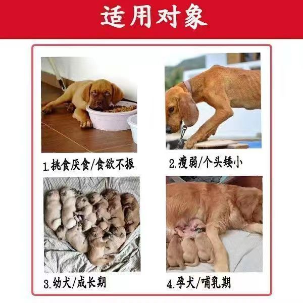 狗狗快速增肥长肉发腮开胃增食欲挑食不爱吃饭狗粮益生菌调理肠胃 - 图0