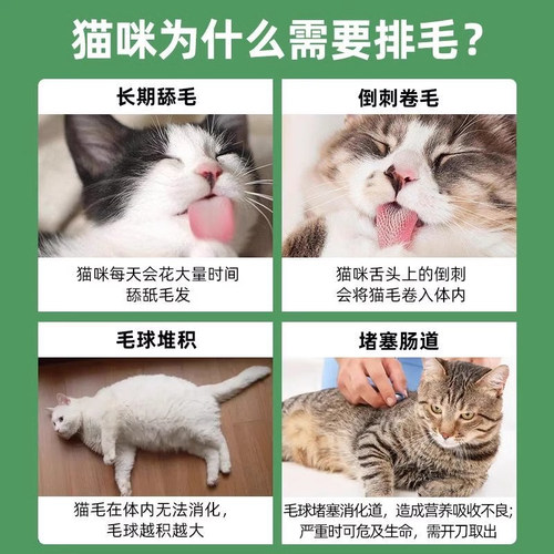 猫草薄荷饼干助排毛化毛猫草棒幼猫补充营养冻干猫草粒块宠物零食 - 图0
