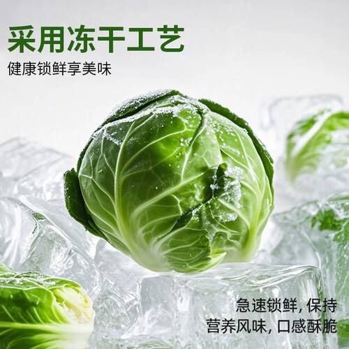 孢子甘蓝冻干兔兔子小宠专用宠物健康蔬菜零食荷兰猪伴粮豚鼠仓鼠 - 图1