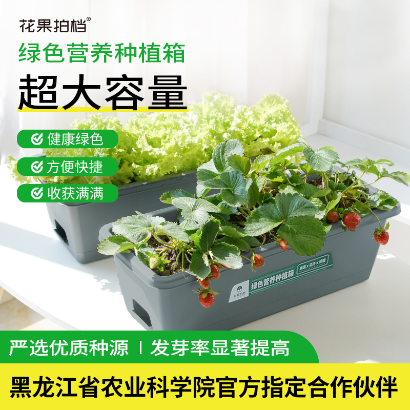 家庭盆栽食用四季种植室内外阳台蔬菜生菜油菜白菜种植箱种菜专用