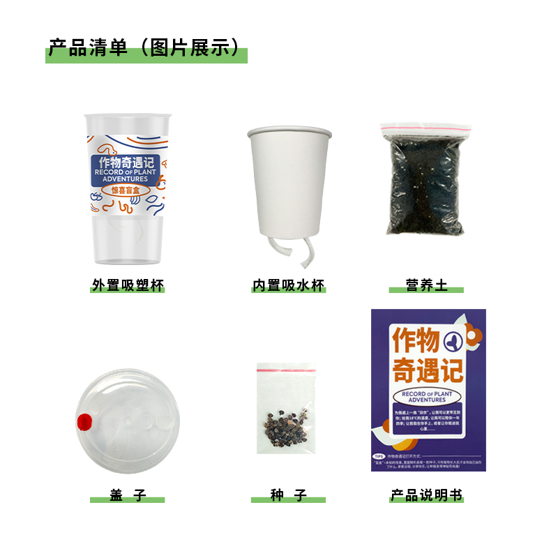 儿童家庭种植小盆栽科学观察水果花卉植物盲盒迷你小花农发芽农场