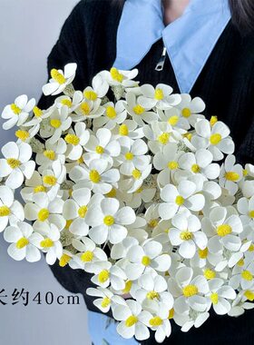 紫罗兰干燥花花束永生花