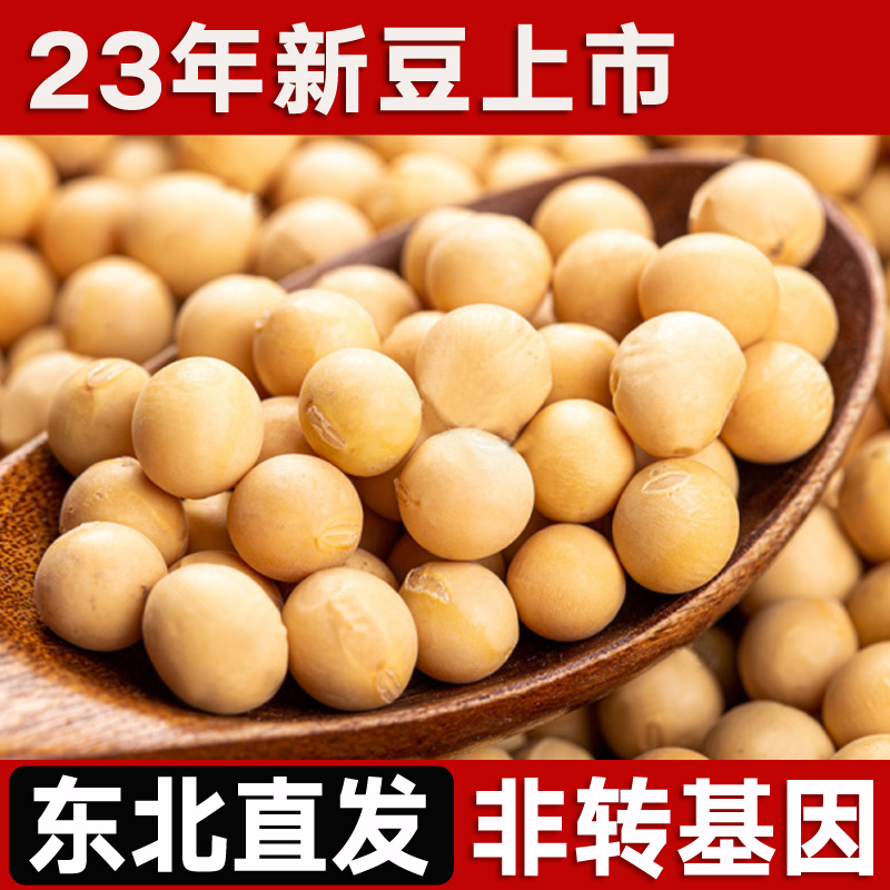 东北黄豆23年农家自种非转基因大豆打豆浆生豆芽专用豆类五谷杂粮 - 图3