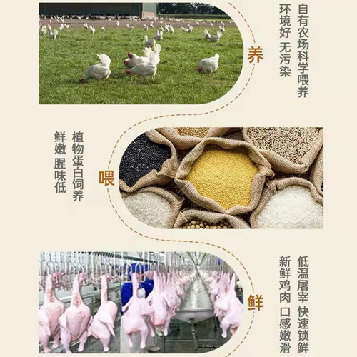 清真内蒙古生鲜鸡翅中新鲜冷冻可乐烧烤奥尔良腌制香辣鸡中翅鸡肉 - 图2