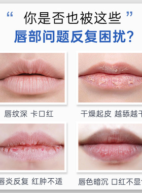 法国进口蕾娜修护滋养润唇膏