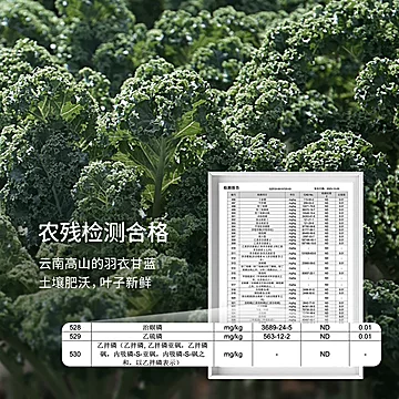 Soacai有机羽衣甘蓝冻干粉奇亚籽青汁[4元优惠券]-寻折猪