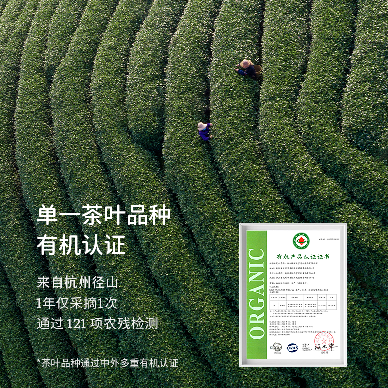 soacai绿沉有机抹茶粉咖啡专用烘焙国产纯绿茶粉冲饮奶茶巴西莓粉 - 图0