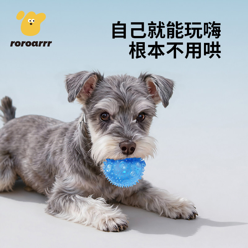 狗狗玩具耐咬磨牙洁齿发声球解闷神器小型幼犬金毛大型犬宠物用品,淘宝优惠券,粉丝福利购,淘宝优惠卷