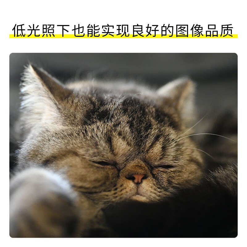  喵速达电器单电微单