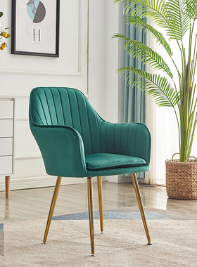 Nordic velvet Armchair living room furniture Balcony Relaxin