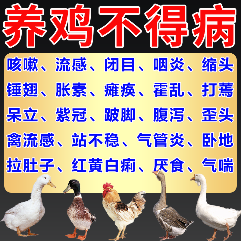 鸡病全治养鸡专用药感冒咳嗽气囊炎发烧闭眼拉稀鸡瘟黄白红痢特效 - 图1