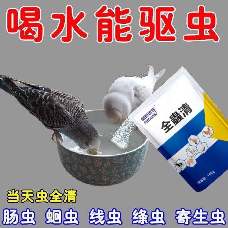鹦鹉体内体外驱虫鹦鹉八哥鸽子画眉鸟咬毛啄羽寄生虫蛔虫肠胃清虫,淘宝优惠券,粉丝福利购,淘宝优惠卷