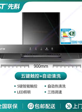 SAST/欧式T型抽油烟机家用厨房顶吸式吸油烟机壁挂式抽烟机