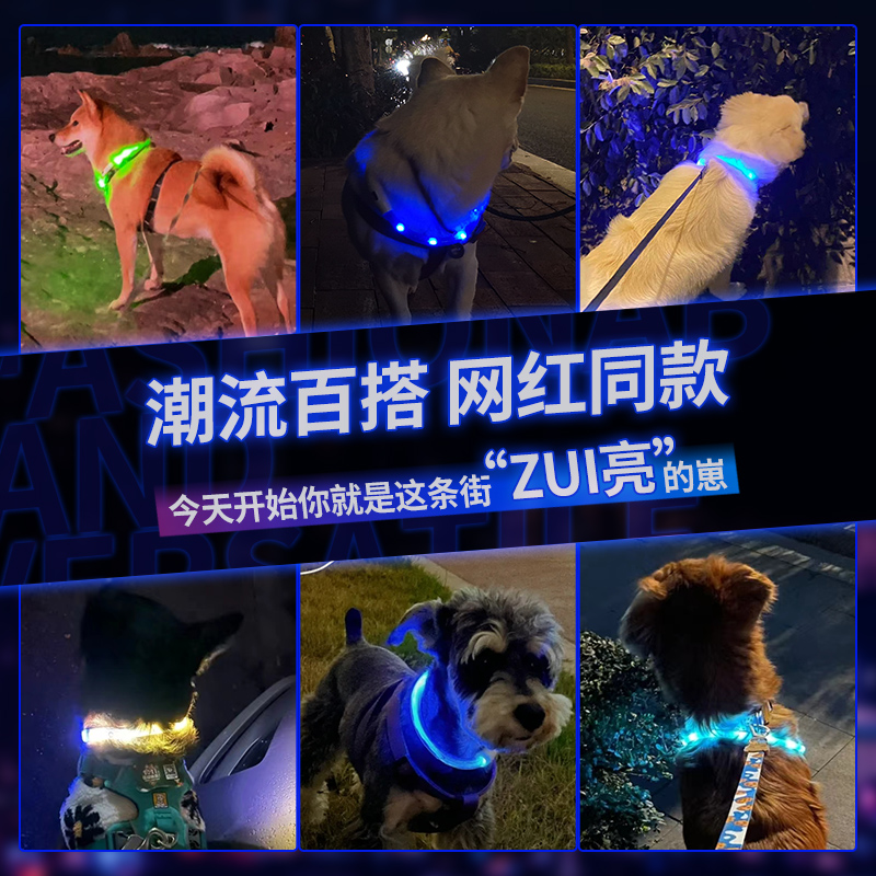 狗狗发光狗项圈宠物夜光遛狗灯发亮充电狗圈颈圈夜间大型犬小型犬-图0