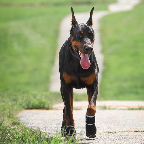 Jane Pod Pet Dog Dog Shoes Summer Speat Sole-Anticalding Water Boots Outdoor Labrador Golden Retriever Play Water