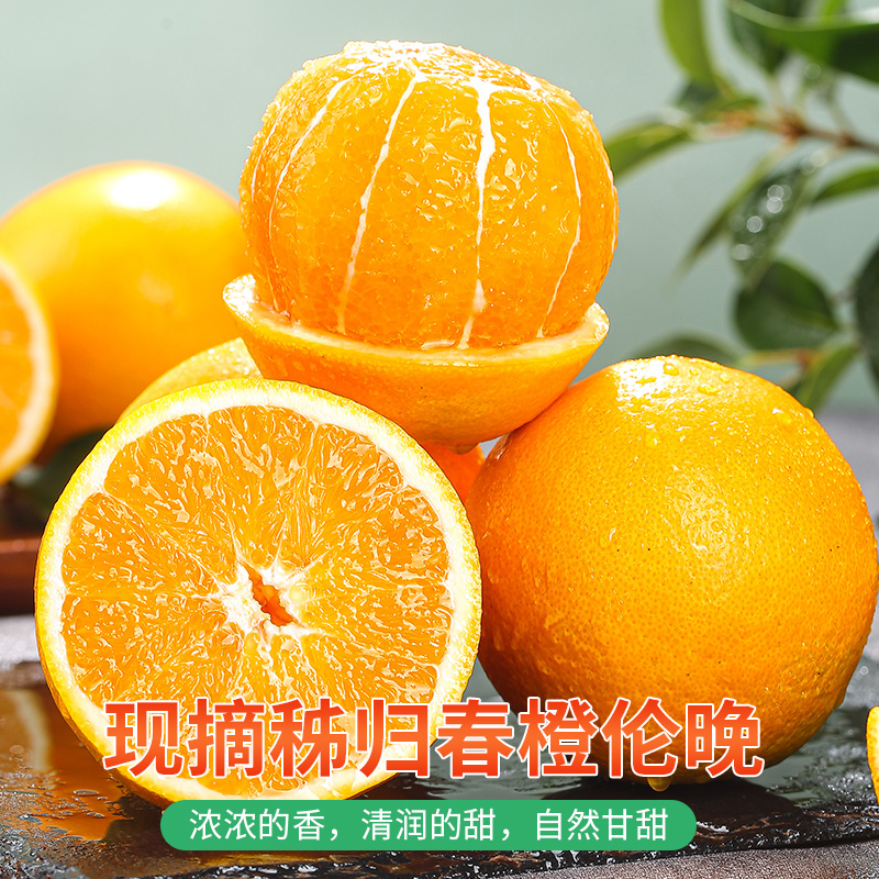 湖北秭归伦晚春橙脐橙新鲜时令应季水果新鲜大果整箱包邮冰糖甜橙