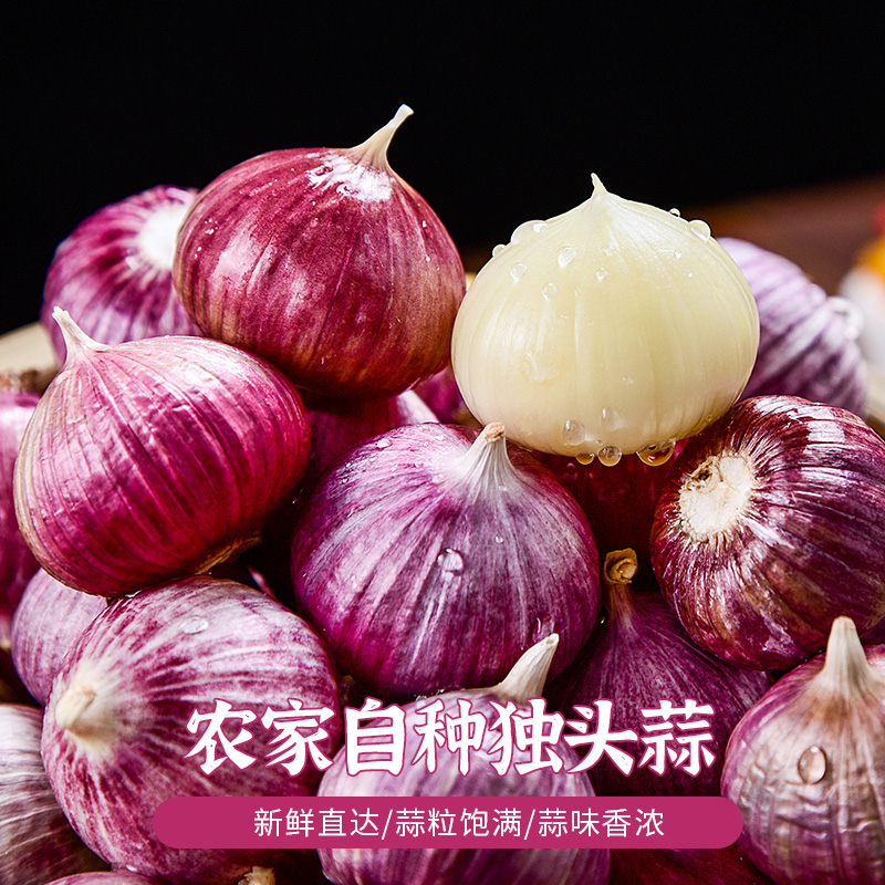 独头蒜云南大理紫皮大蒜湿蒜5斤大果大蒜头10新鲜干新蒜蒜米包邮