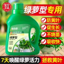 Green Robo Fertilizer Special Nutrient Solution Hydropony Water Cultivation Flower Fertilizer Domestic Potted Plant Universal Flower Flower Green Planting