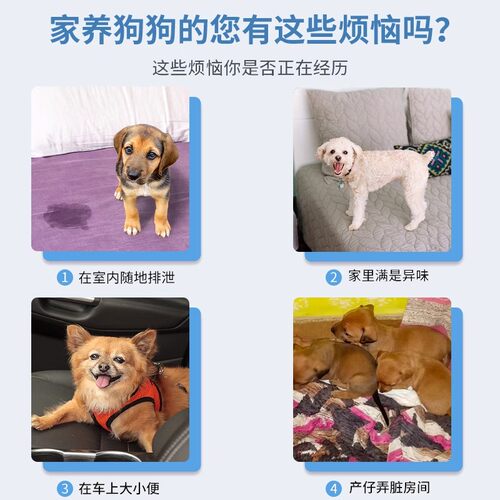 狗狗尿垫加厚除臭吸水隔尿垫幼犬诱导小狗定点排便引导上厕所神器 - 图0