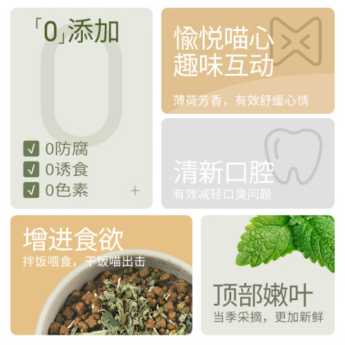 徕本猫薄荷球猫咪零食猫饼干天然可食用去毛球猫草罐装幼猫化毛用 - 图1