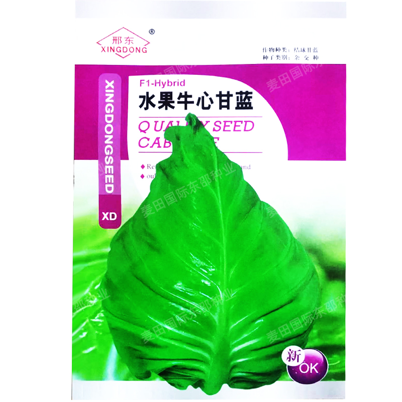 水果甘蓝种子春丰牛心炮弹甘兰包菜种籽春秋越冬阳台青菜蔬菜种孑 - 图3