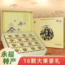 Low Temperature Dehydrated Momordicae Guangxi Landmark Big Fruit Guilin Yonfot Golden Grosgros Flowers Tea Bubble Drinking Dried Fruits