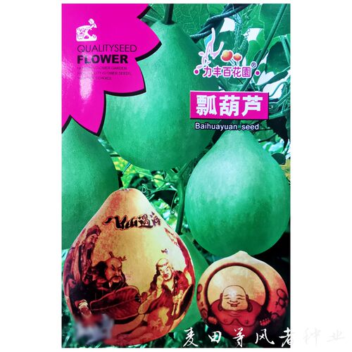 瓢葫芦种子可食用速生飘瓠瓜爬藤阳台盆栽庭院农家播疏蔬菜种籽孑 - 图3