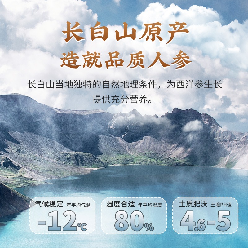 雷允上西洋参片2-3CM超大片100g长白山花旗参人参片泡茶官方正品