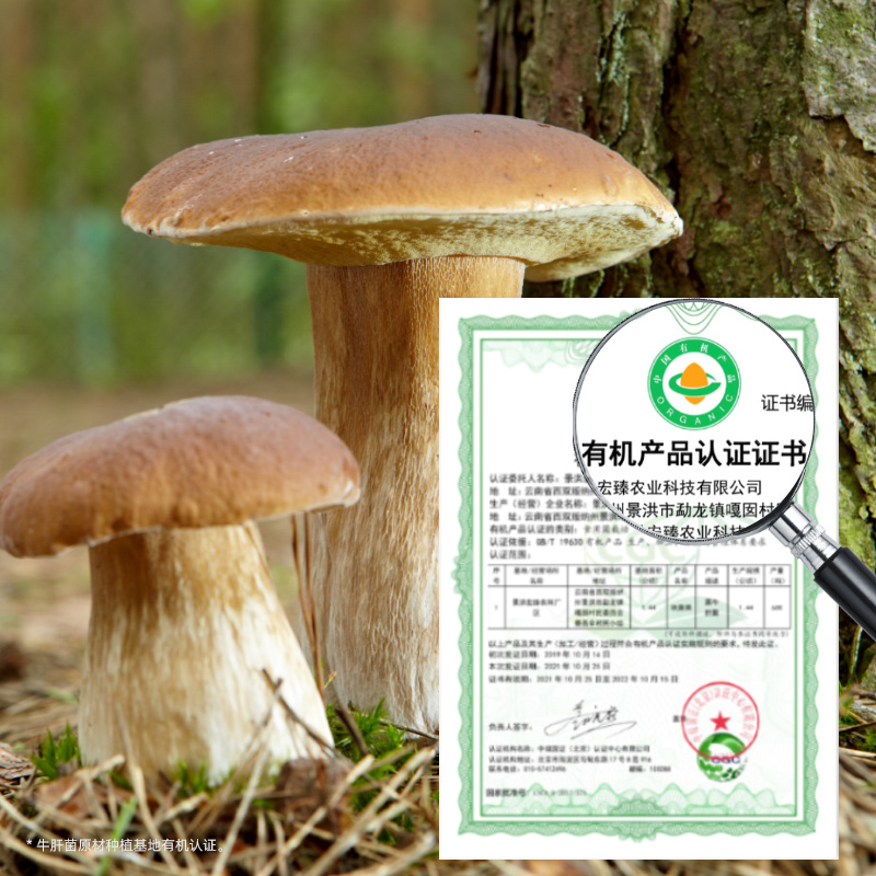 八珍菌汤包煲汤食材牛肝菌羊肚菌姬松茸鹿茸菇野生干货滋补料包_粮油调味_速食_干货_烘焙