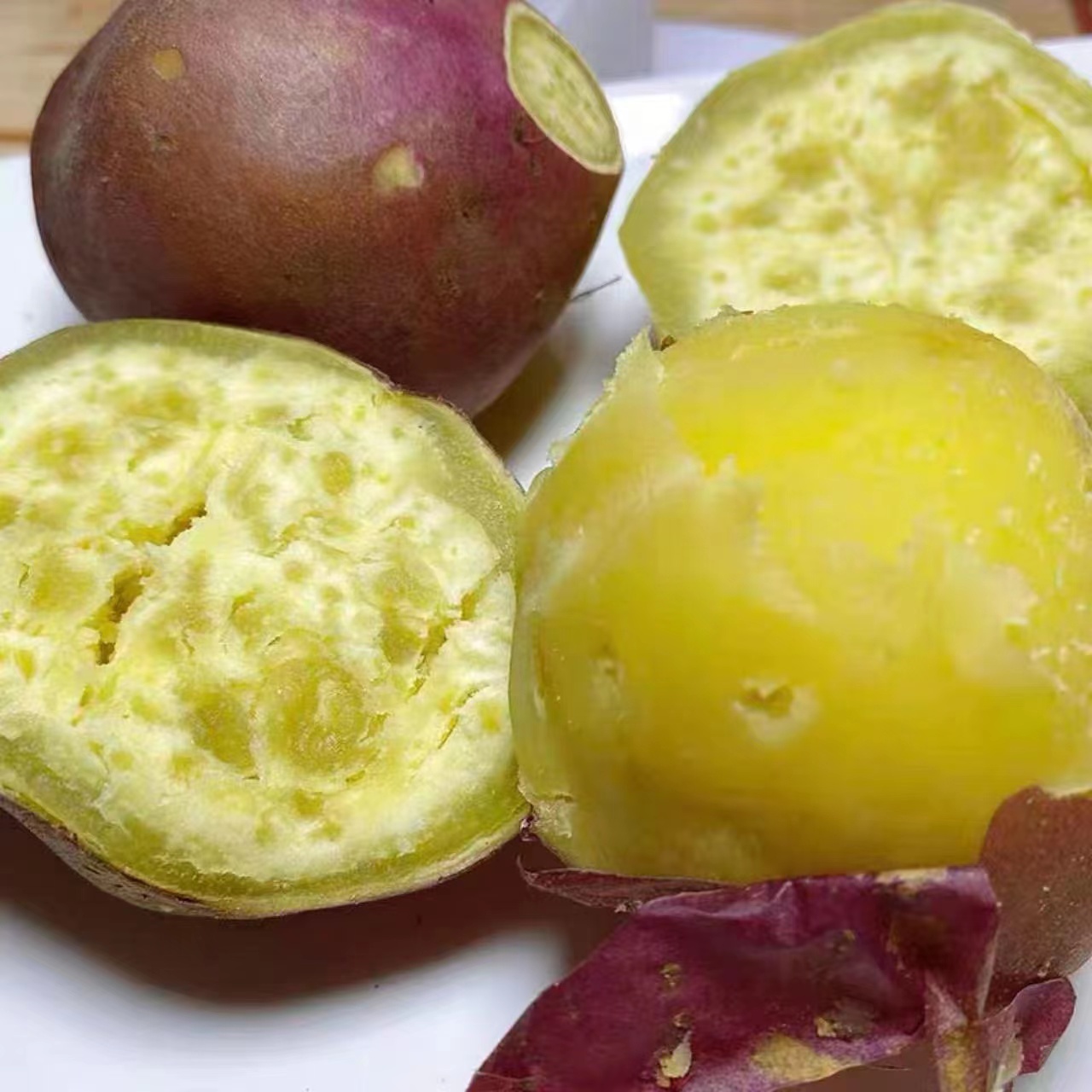 【圆果】正宗海南澄迈桥头富硒地瓜新鲜现挖板栗红薯黄心番薯粉糯