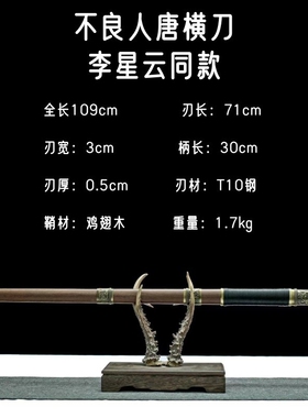 【不良人唐横刀】李星云同款花梨木埋鞘环首刀淬火动漫刀剑未开刃