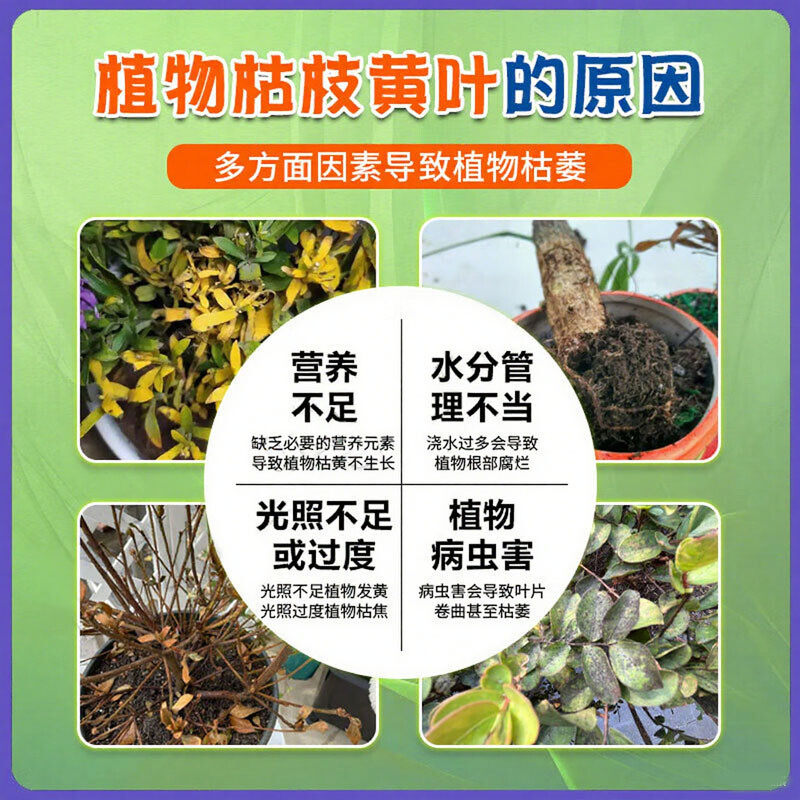 植物复活液生根液植物通用再生剂扦插营养液生根药水粉大树木移栽,淘宝优惠券,粉丝福利购,淘宝优惠卷