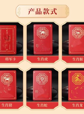 2025蛇年乙巳吴遂大将军太岁卡