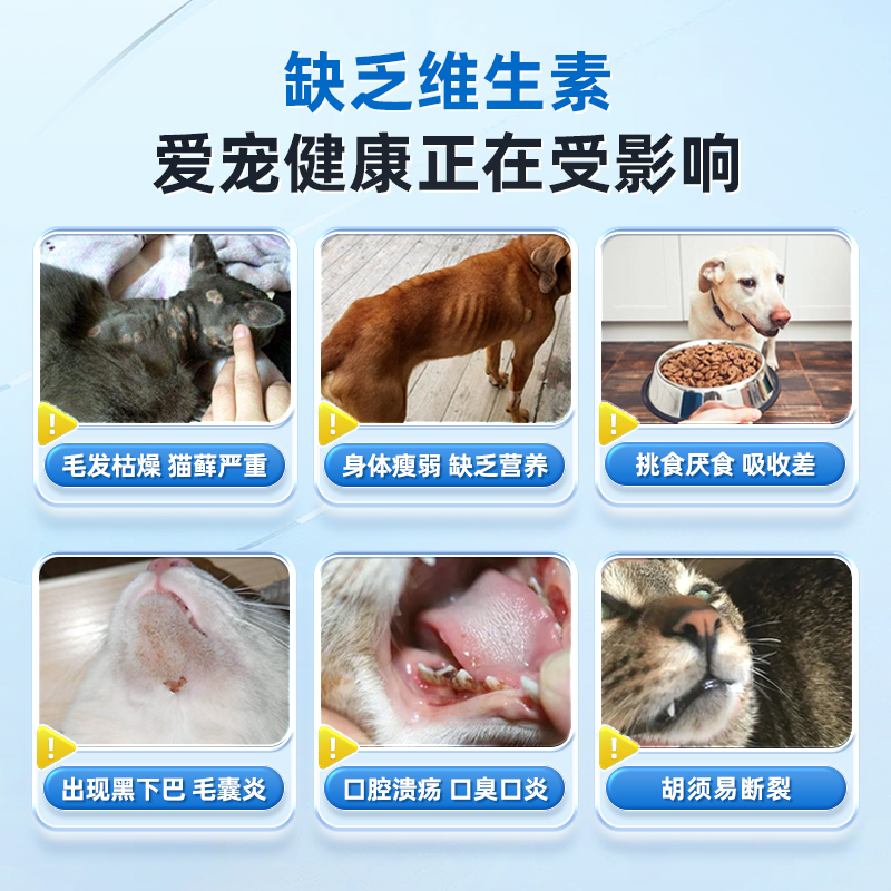 猫咪复合维生素片b防掉毛美毛狗狗专用宠物泪痕猫藓补充多种营养 - 图0