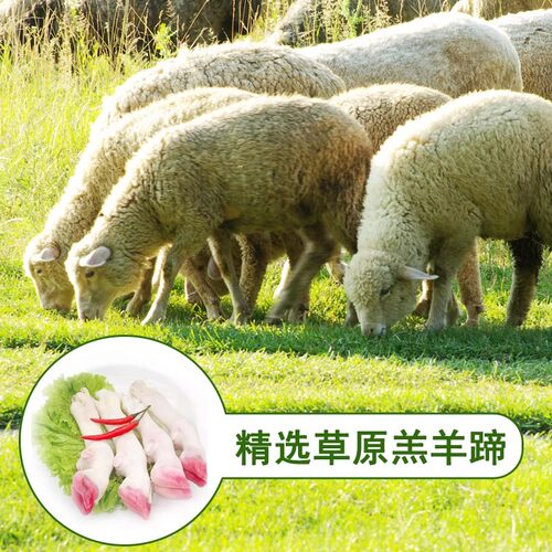 草原母亲 内蒙古香辣卤羊蹄 正宗内蒙古风味羊蹄子熟食即食下酒菜 - 图0