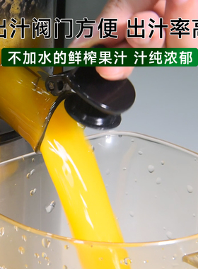 一点七商用榨汁渣汁分离超大口径
