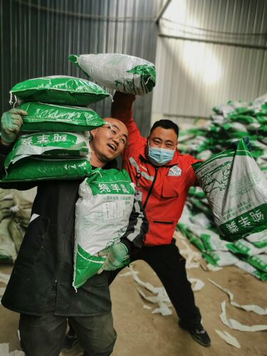 纯羊粪发酵颗粒肥料养花种菜花卉蔬菜果树盆栽家用型有机肥包邮 - 图1