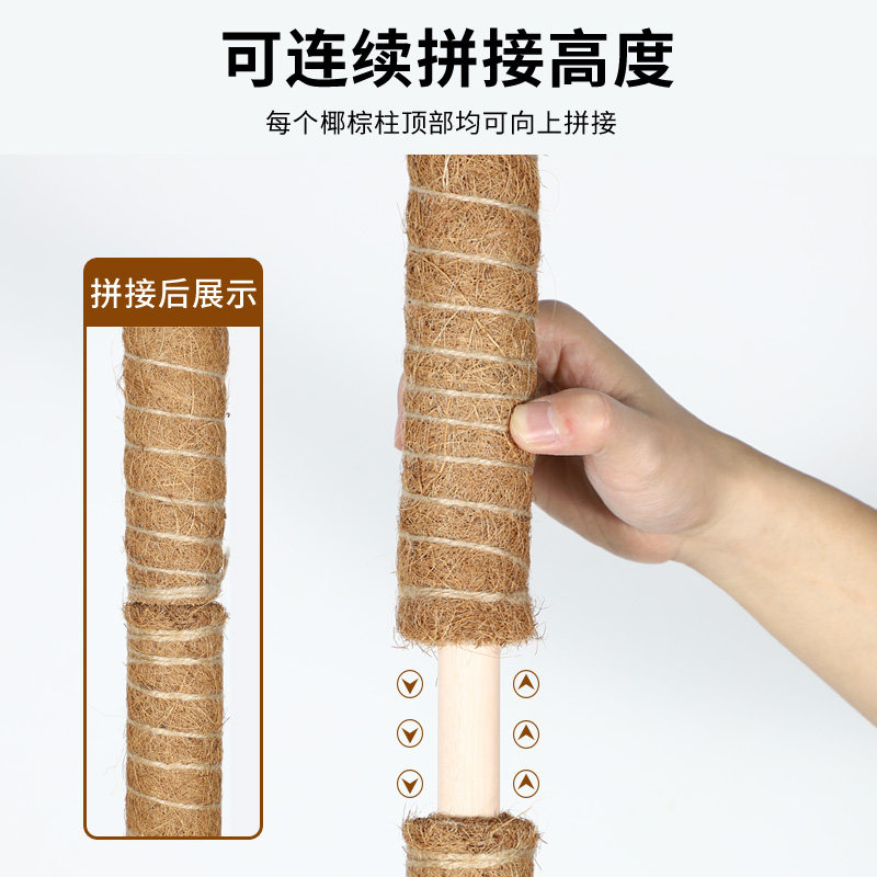 龟背竹支撑杆绿箩攀爬柱椰棕棒绿萝固定植物爬藤棕榈柱防倒伏支架,淘宝优惠券,粉丝福利购,淘宝优惠卷