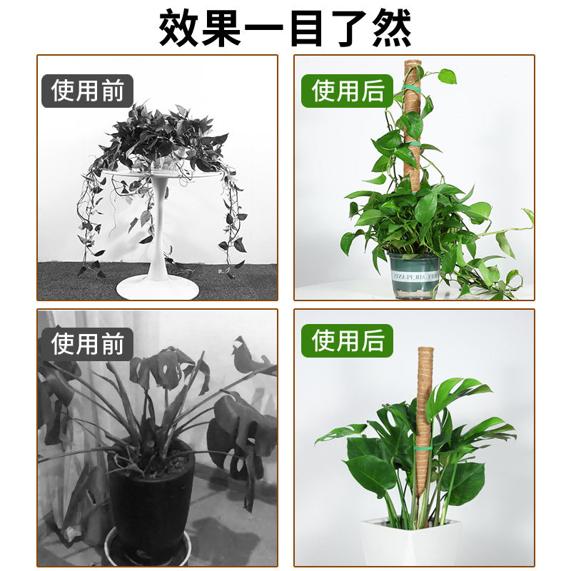 龟背竹支撑杆绿箩攀爬柱椰棕棒绿萝固定植物爬藤棕榈柱防倒伏支架,淘宝优惠券,粉丝福利购,淘宝优惠卷