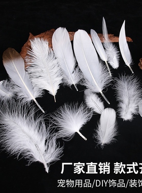白色羽毛摆件礼物道具舞台表演饰品创意羽毛DIY手工新品diy饰品