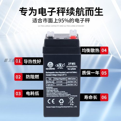 霸王正品原厂电池电子秤通用4v5ah20hr蓄电池商用台秤电池通用 - 图2
