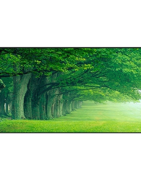 绿荫客厅风景装饰画树现代简约大气沙发背景墙挂画壁画大幅大