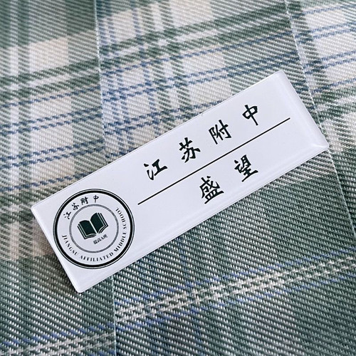 【某某】江添盛望小说周边名扎胸牌胸针jk书包挂件配饰校徽定制in - 图3