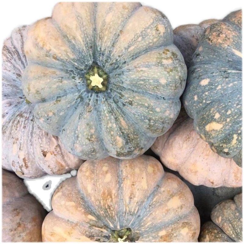 老南瓜粉糯甜农家自种磨盘圆南瓜新鲜老品种老黄南瓜蔬菜新鲜辅食,淘宝优惠券,粉丝福利购,淘宝优惠卷